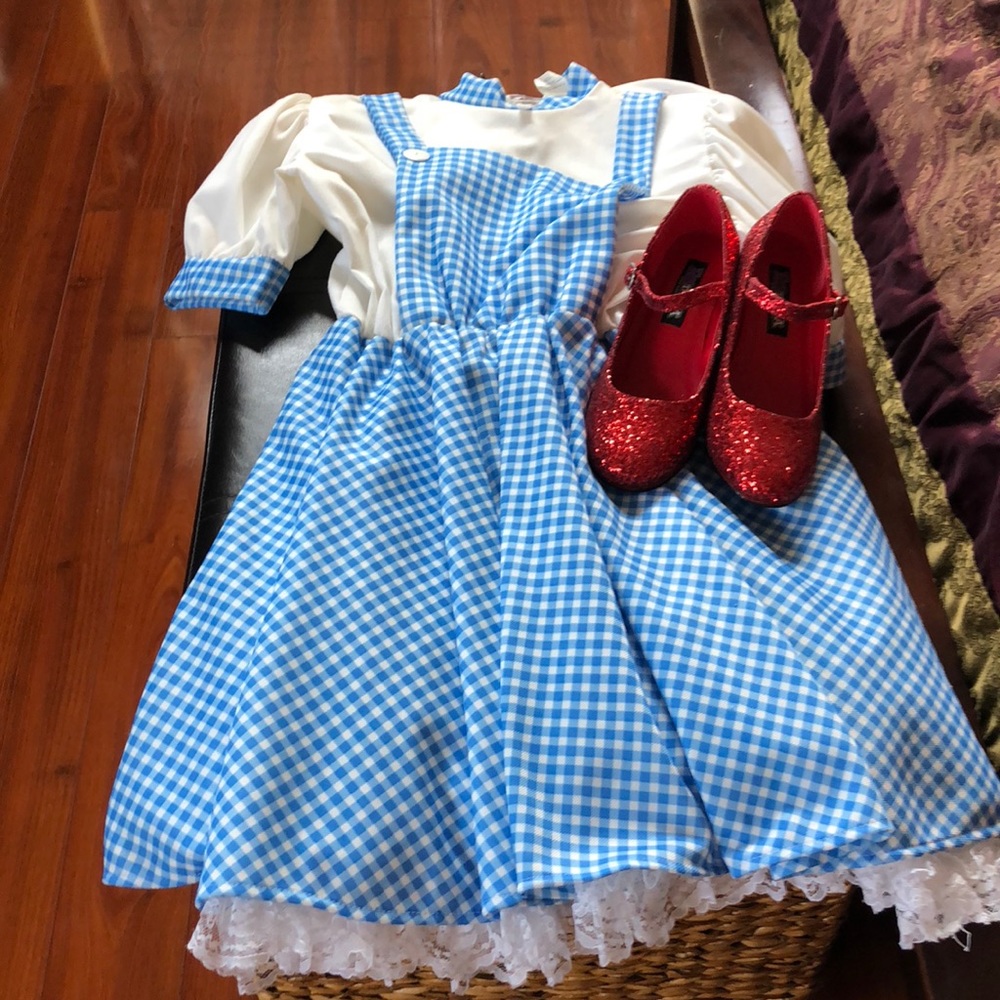 Dorothy costume size small-medium (6-8)